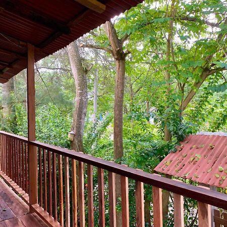 La Posada De Mary มอนตาญิตาร์ ภายนอก รูปภาพ
