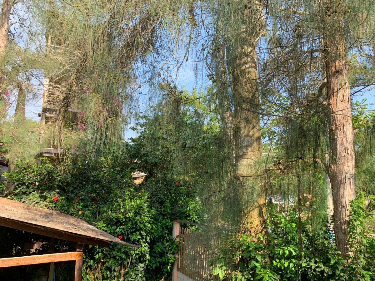 La Posada De Mary มอนตาญิตาร์ ภายนอก รูปภาพ